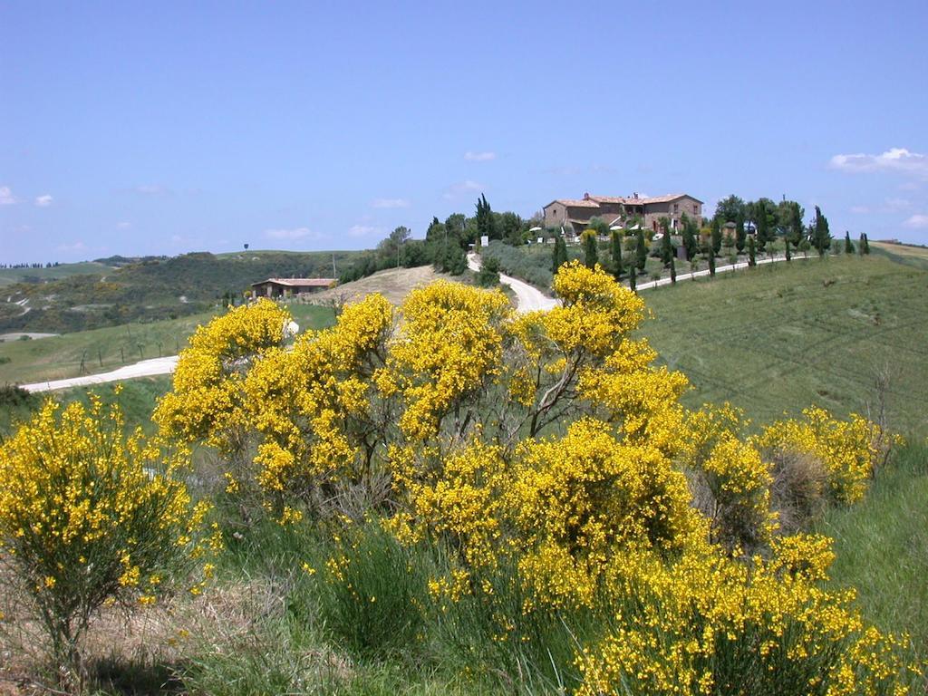 Agriturismo Palazzo Conti A Пиенца Экстерьер фото